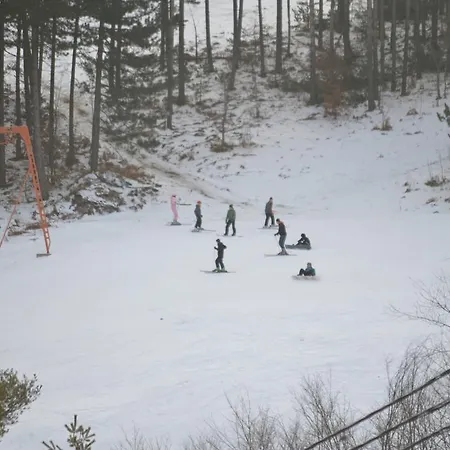 Гостевой дом Vila Horizont Гоч