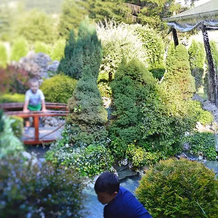 Гостевой дом Vila Horizont