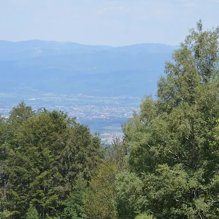 Гостевой дом Vila Horizont